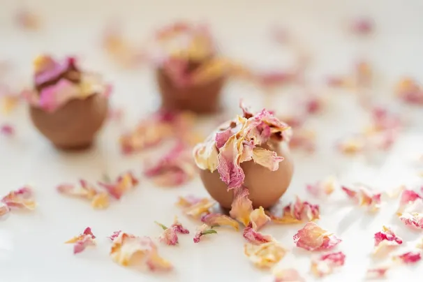 Casino Sun Palace Android/iOS-app